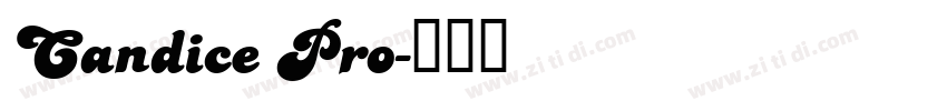 Candice Pro字体转换